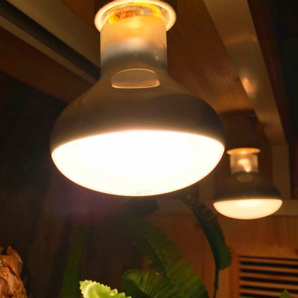 Amphibians Temperature Control - Basking Bulb Halogen review and price