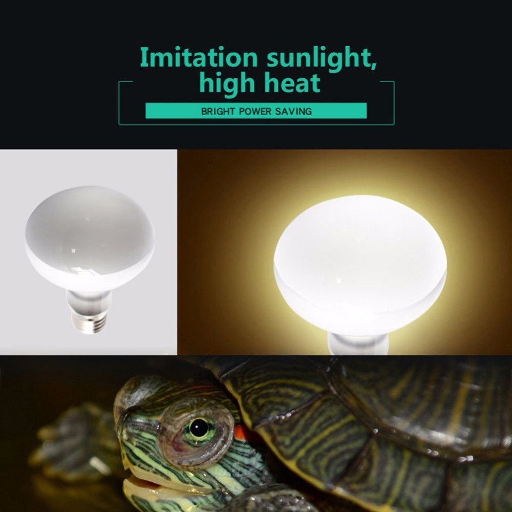 Amphibians Temperature Control - Basking Bulb Halogen review and price