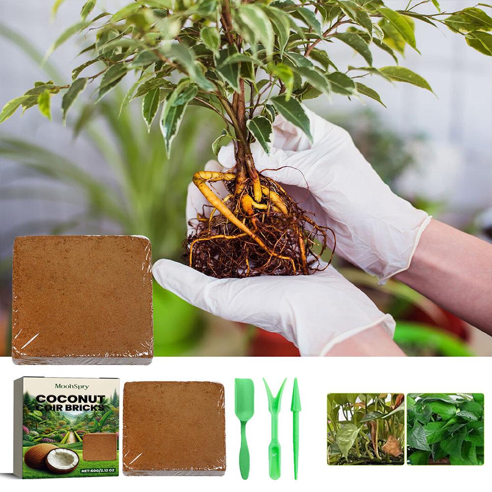 Coconut Coir Fiber Brick - Org - Substrate Coconut Fiber review and price