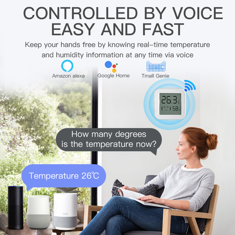 Bluetooth Temperature Humidity - Digital Hygrometer Probe review and price