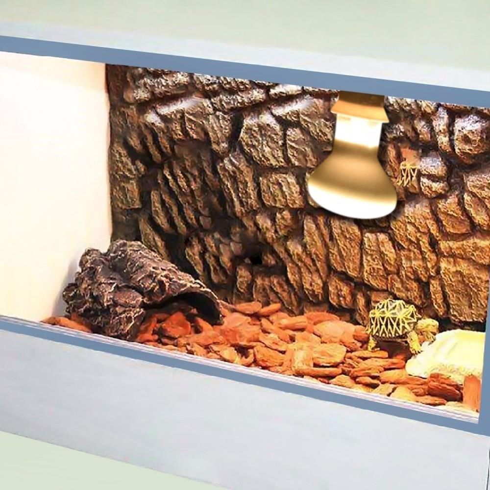 Amphibians Heat Lamp Heater Ha - Basking Bulb Halogen review and price