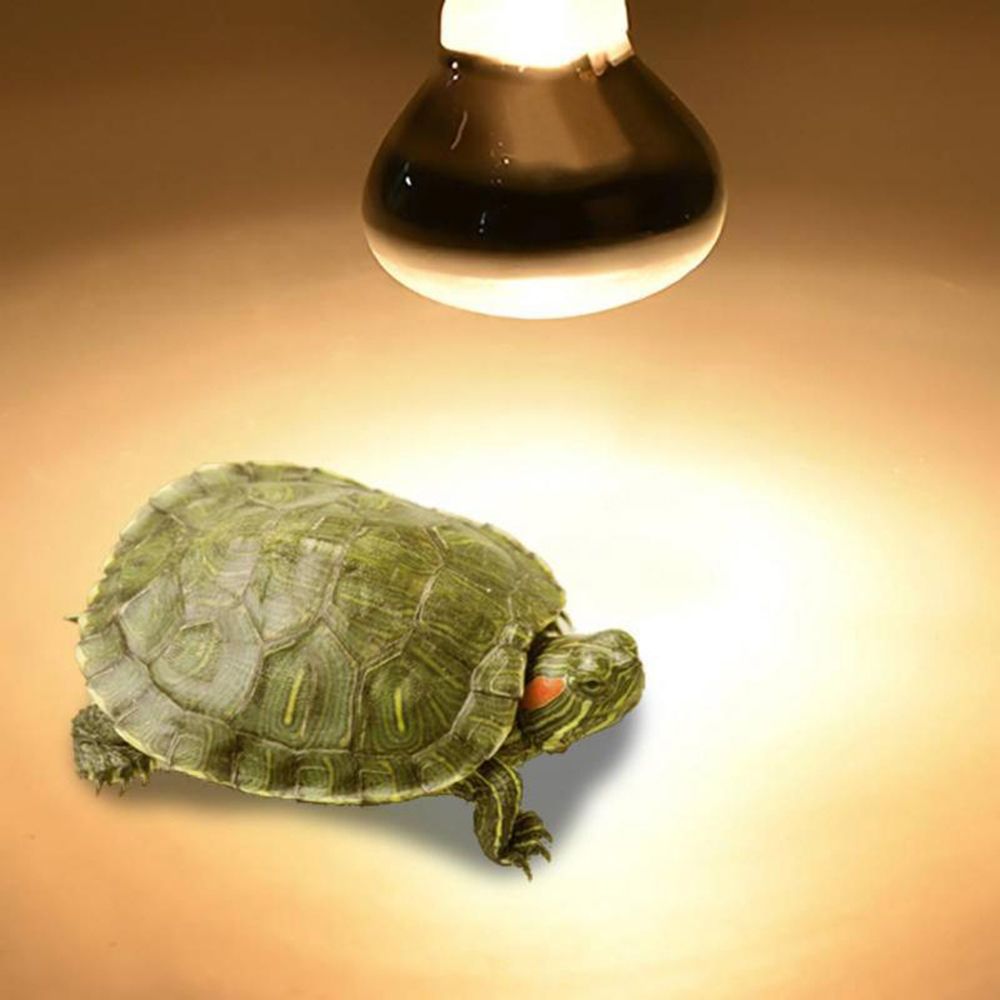 Amphibians Heat Lamp Heater Ha - Basking Bulb Halogen review and price