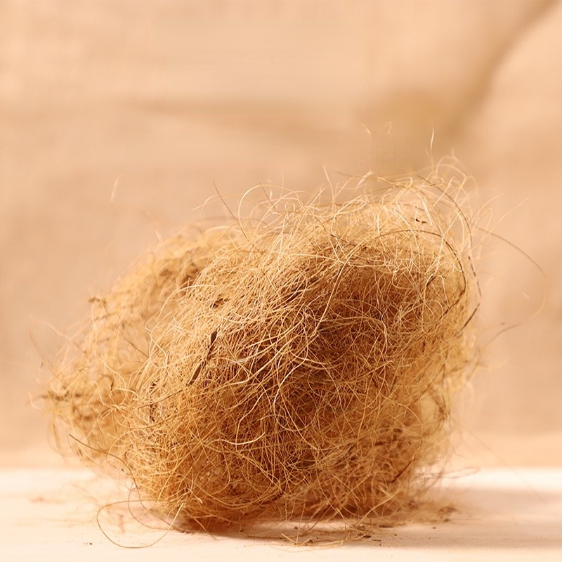 100g Finch Coconut Fiber Loose - Substrate Coconut Fiber review and price